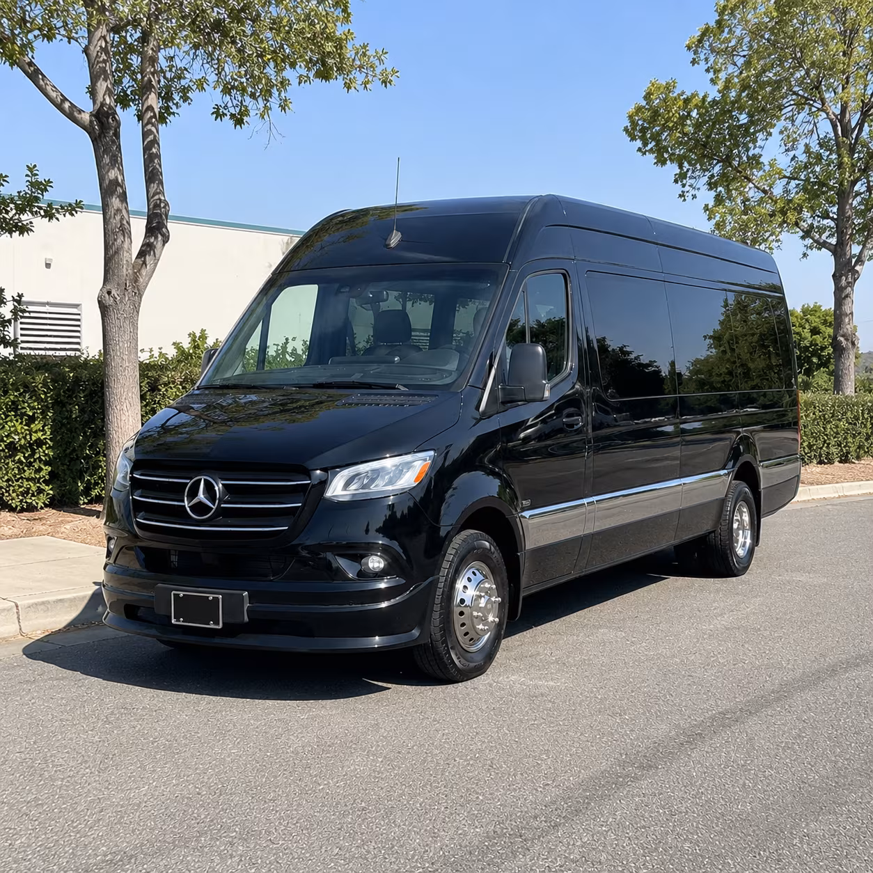 south gate sprinter limousine
